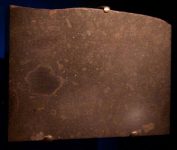 640px-Abee_meteorite_at_the_American_Museum_of_Natural_History