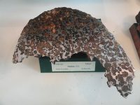 640px-Atacama_meteorite_-_Meteorites_in_the_Arppeanum_-_DSC05477