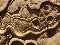 640px-Stromatolite_(fossil)_at_Göteborgs_Naturhistoriska_Museum_8899