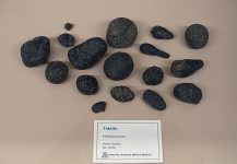 640px-Tektites,_Philippines_-_University_of_Arizona_Mineral_Museum_-_University_of_Arizona_-_Tucson,_AZ_-_DSC08496