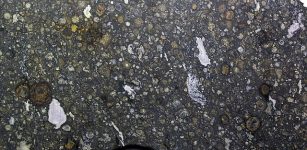 Carbonaceous_chondrite_(Allende_Meteorite)_(4.560-4.568_Ga)_9