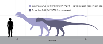 Dilophosaurus_Size_Comparison-ru.svg
