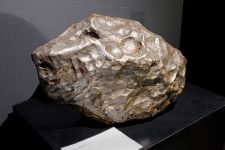 Gibeon-meteorit-mineralogia-2022