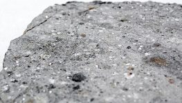 Howardite_(North_West_Africa_11899_Meteorite)_11