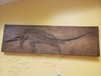 Ichthyosaur_fossil_NCMNS