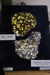 Imilac_and_Seymchan_pallasites_at_UCLA_Meteorite_Gallery