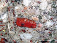 Jasper-quartz_pebble_conglomerate_(Lorrain_Formation,_Paleoproterozoic,_~2.3_Ga;_Ottertail_Lake_Northeast_roadcut,_near_Bruce_Mines,_Ontario,_Canada)_46_(47709530321)