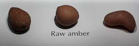 Raw_amber_-_Cleveland_Museum_of_Natural_History_(34615518721)
