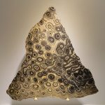 Stromatolite,_Greysonia_sp.,_Vendian,_Bolivia_-_Houston_Museum_of_Natural_Science_-_DSC01368
