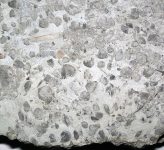 Zygospira_modesta_(fossil_brachiopods)_in_limestone_(Upper_Ordovician;_southeastern_Butler_County,_Ohio,_USA)